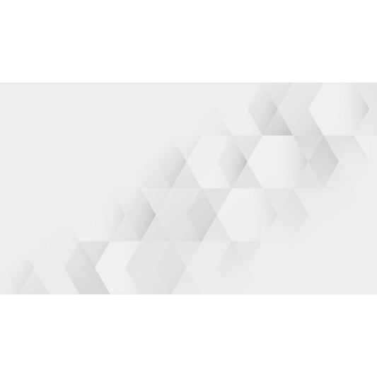 Foto tapete Štampani tapet 0223 TAPETA BELI ROMBOIDI II TAPETPRINT.RS